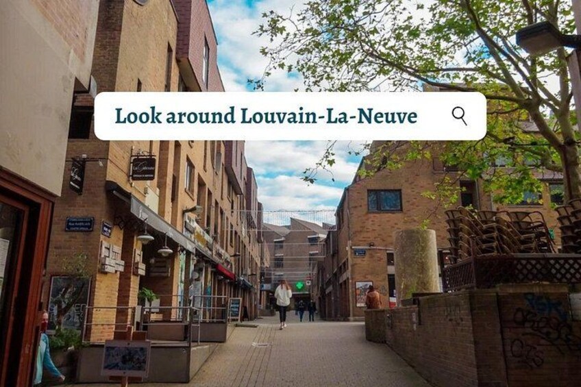 A narrow street in Louvain-La-Neuve with brick buildings, shops, and a tree. 2