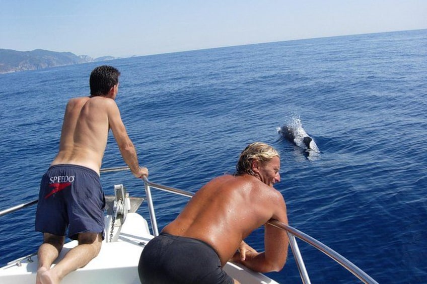 Two people on a boat, one wearing SPEEDO shorts, observing a dolphin in the water. 3
