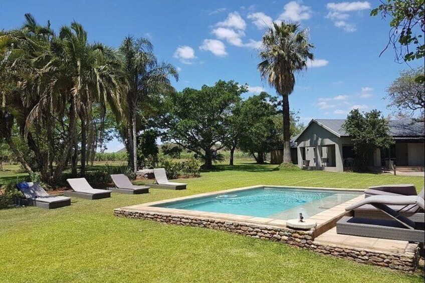 A swimming pool with lounge chairs, surrounded by grass and palm trees. 4