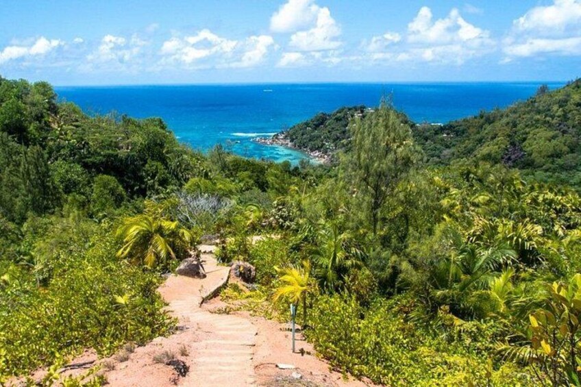 Private Fond Ferdinand and Anse Lazio Tour from Baie Sainte Anne 1