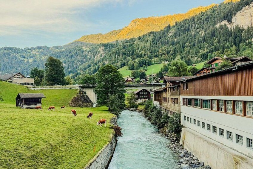 Lucerne & Bürgenstock Day Tour from Zurich: Private Experience 3