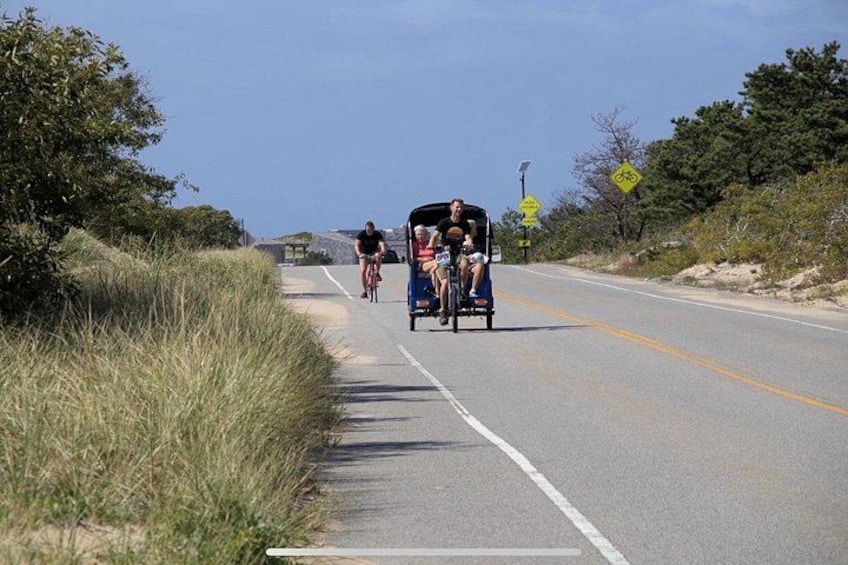 A road with a cyclist and a horse-drawn carriage. 1