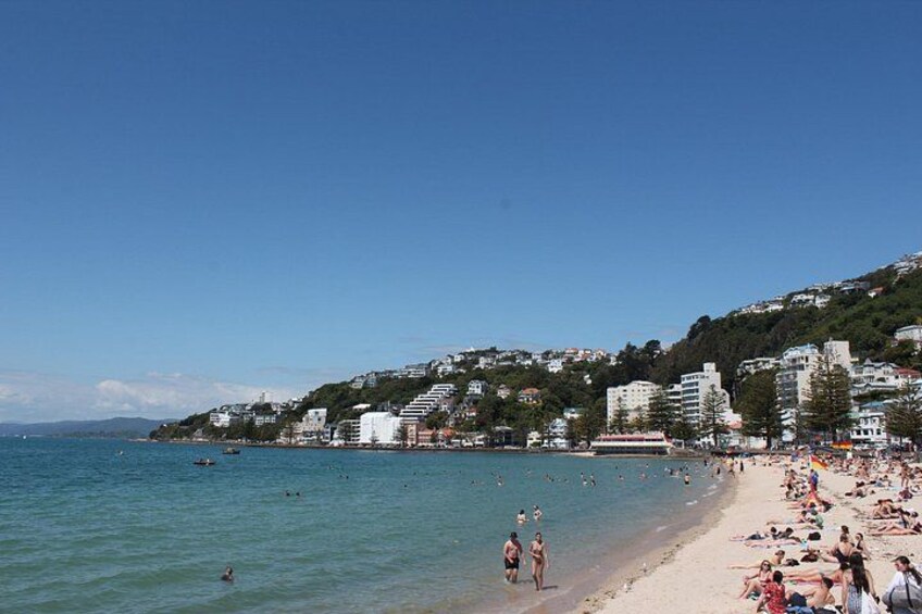 Oriental Bay. 3