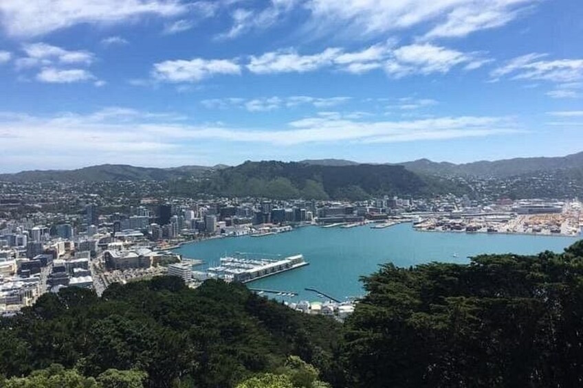 Wellington City from the Mt Victoria lookout. 5