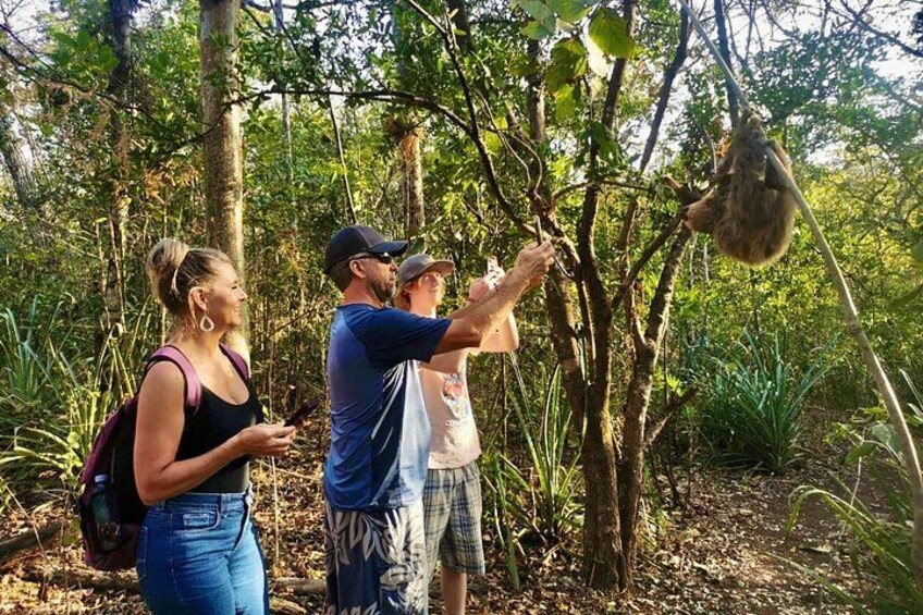 Sloth Sanctuary WildLife Hike 5