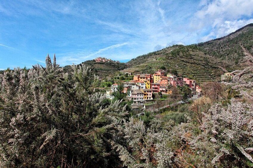 Private Cinque Terre Trek & Tour 2