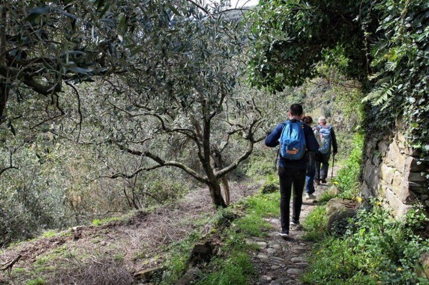 Private Cinque Terre Trek & Tour 3