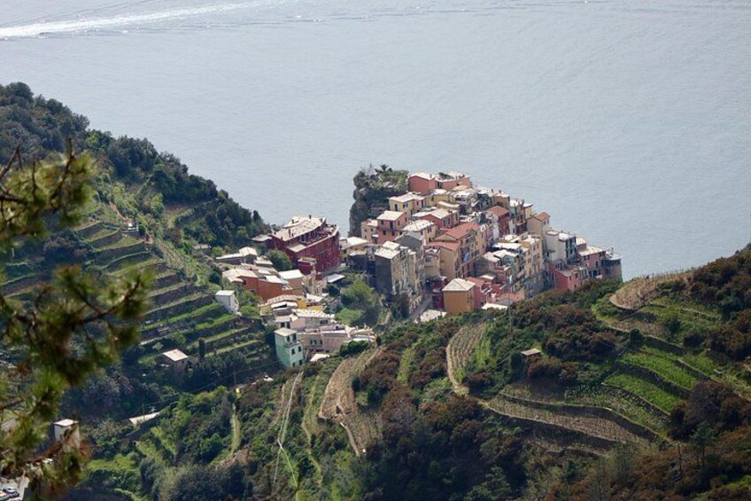 Above Manarola, coming down 2