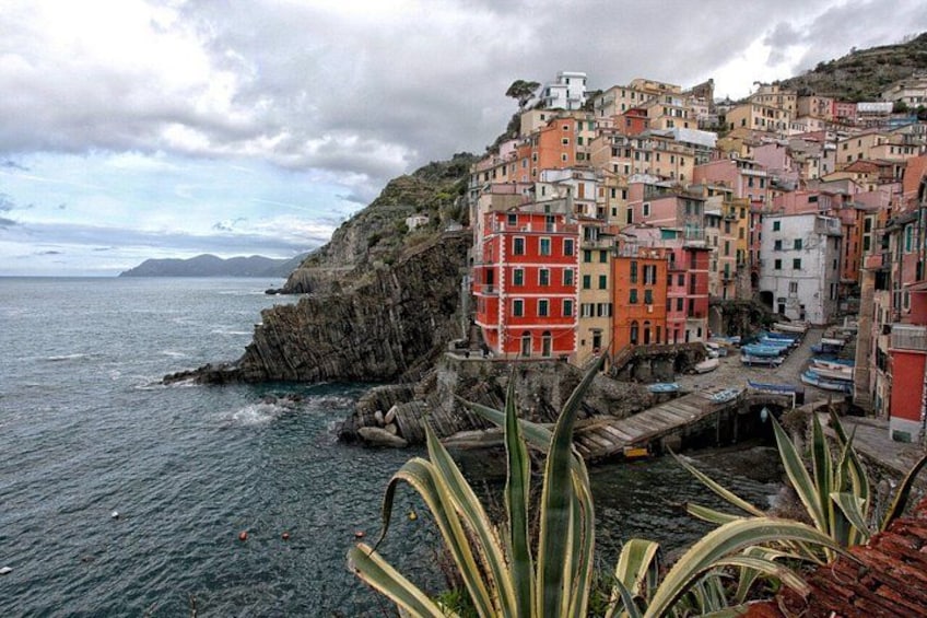 Private Cinque Terre Trek & Tour 1