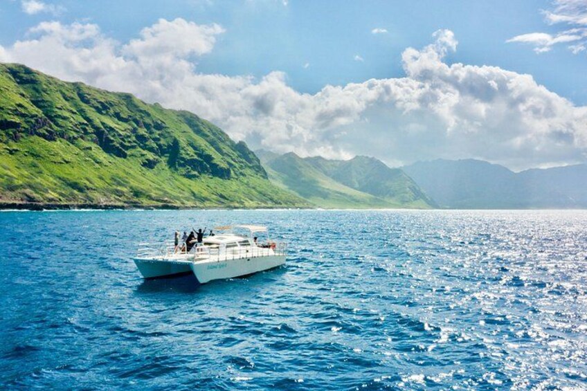 Spacious 40passenger catamaran boat 3