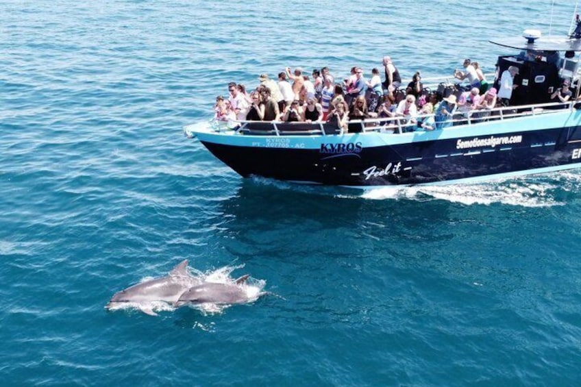 Portimão:Embark on Nature•Benagil and Dolphins•Biologist on board 2
