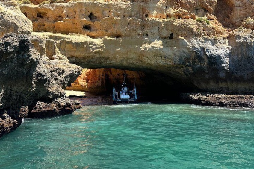 Portimão:Embark on Nature•Benagil and Dolphins•Biologist on board 4
