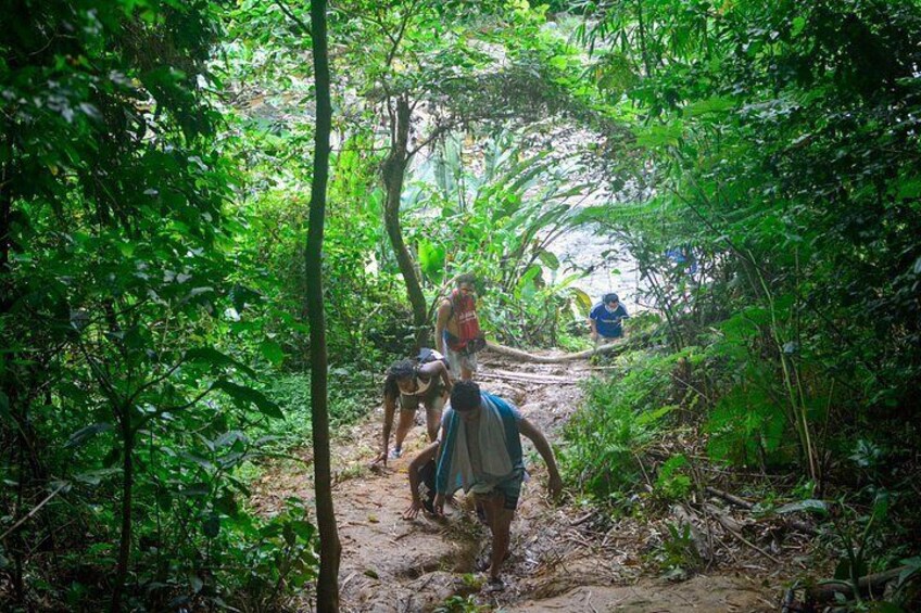 Small-Group El Yunque Waterfall & Waterslides with Pickup 2