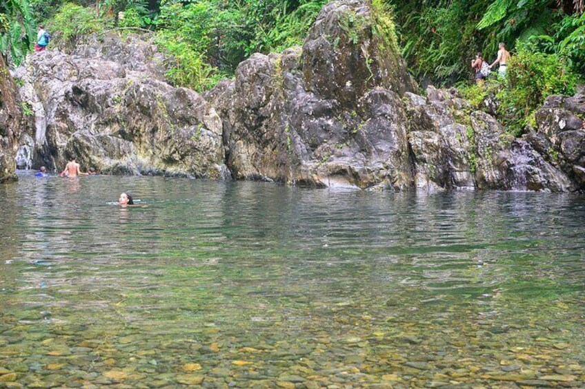 Small-Group El Yunque Waterfall & Waterslides with Pickup 4