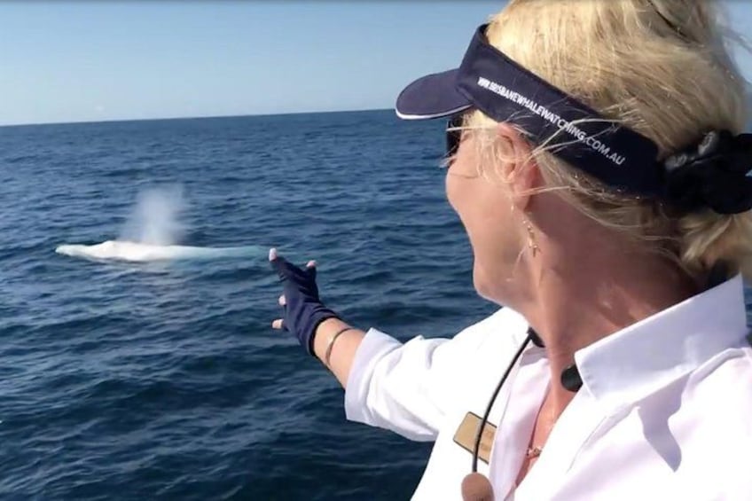 Una persona señalando una ballena en el océano. 2