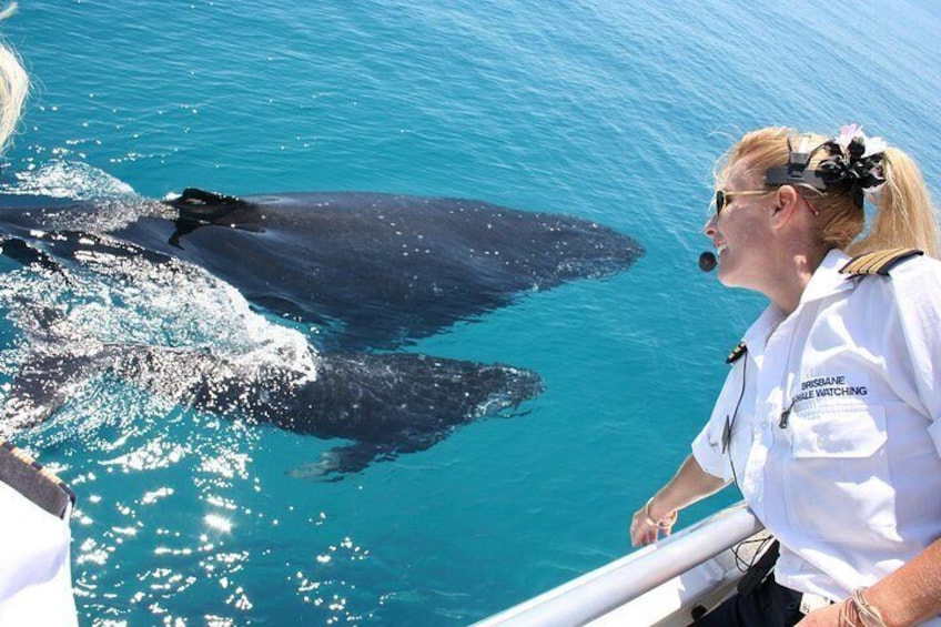 A person in a white shirt with text, observing a whale in the water. 1