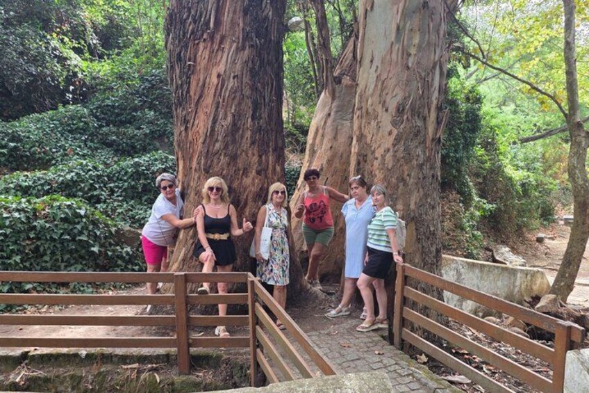 Half Day Historical Tour to Silves and Monchique 5