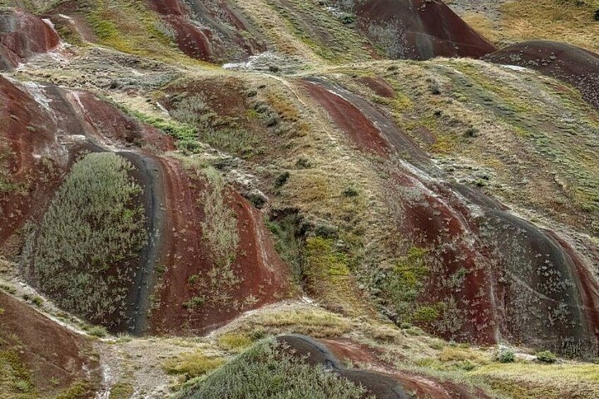 A landscape with rolling hills and patches of greenery. 5