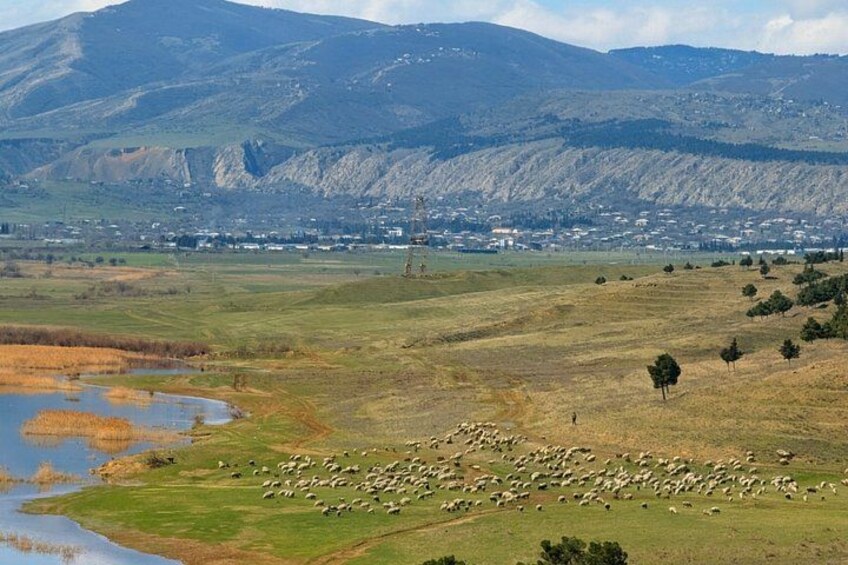 A landscape with a flock of sheep grazing, a small body of water, and a town in the background. 4