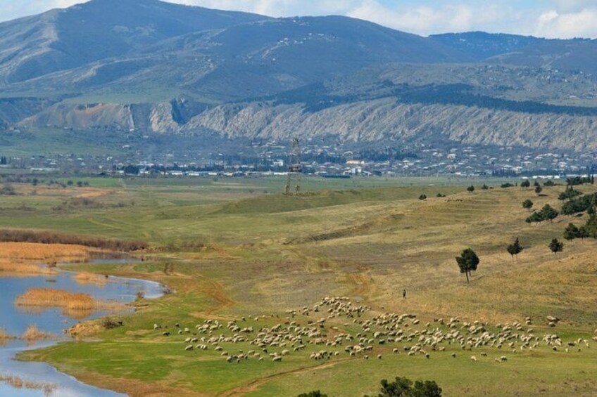 A grassy field with a flock of sheep, a small body of water, and a mountain range in the background. 4