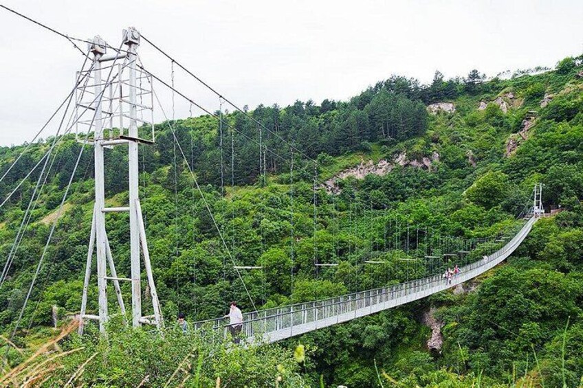 A suspension bridge in a lush green forest, with a power line tower visible to the left. 4