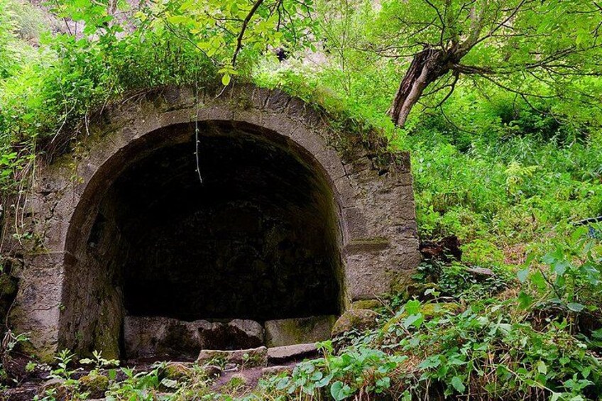 A stone tunnel surrounded by lush greenery. 3