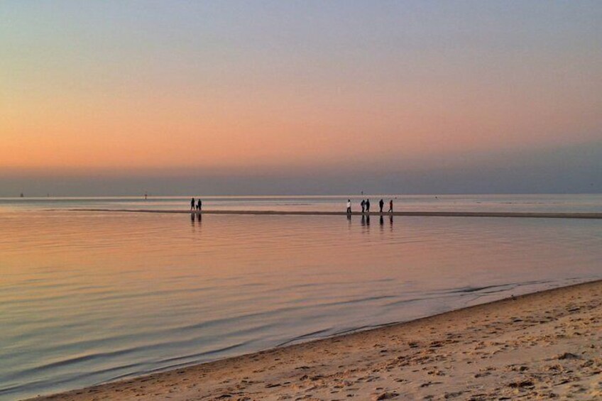 Mornington Peninsula Day Tour. Your Day Your Way. Your group only 5