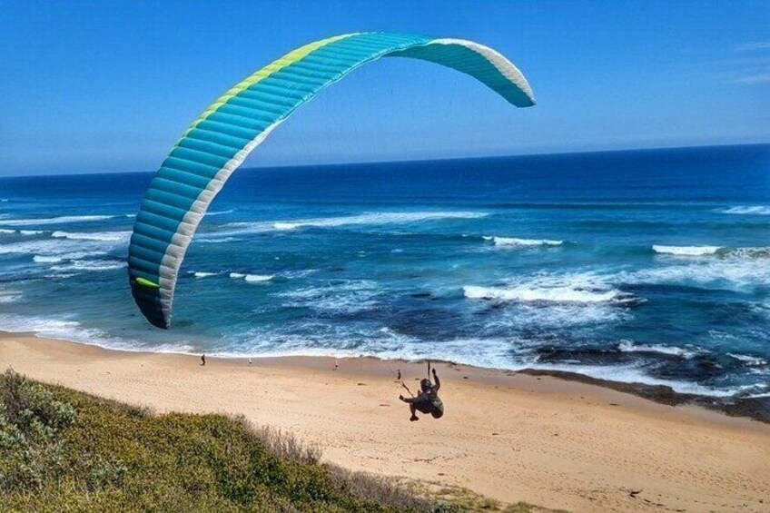 Mornington Peninsula Day Tour. Your Day Your Way. Your group only 4