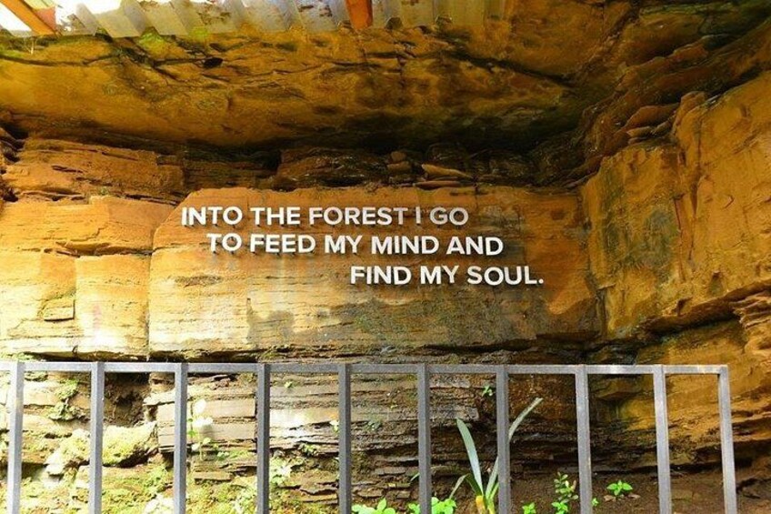 In the Graskop Gorge. 5