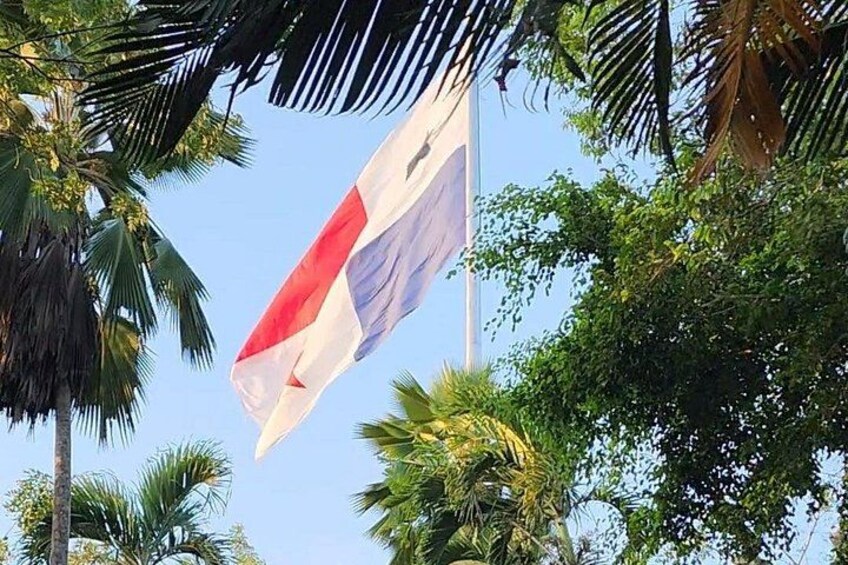 Un drapeau flotte sur un mât, avec des palmiers au premier plan. 4