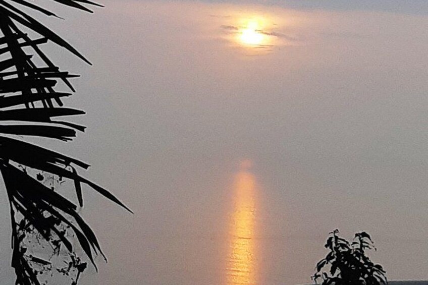 Un coucher de soleil avec un soleil bien visible, des silhouettes de palmiers et un ciel dégagé. 3