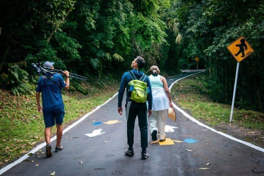 Tres personas caminando por una calle con una señal de paso de peatones y flechas indicando la dirección. 5