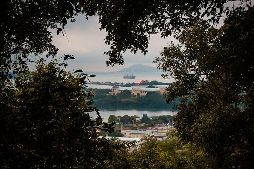 A coastal cityscape with a prominent mountain in the background, surrounded by dense foliage. 4