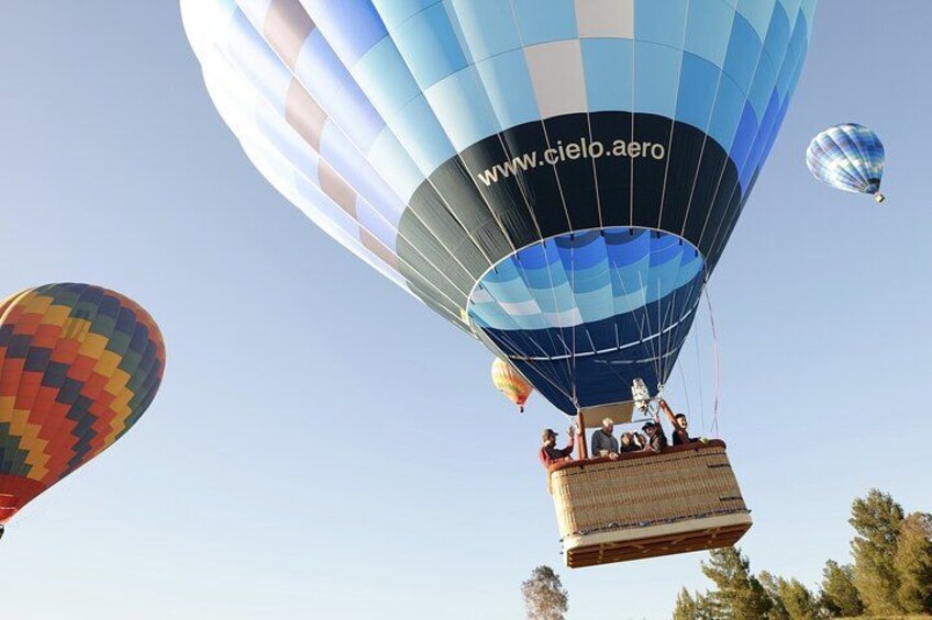 Un globo aerostático con pasajeros y una dirección web. 1