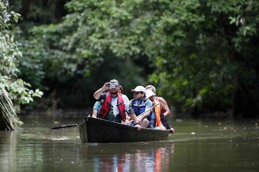 A group of people in a boat on a river surrounded by dense greenery. 2