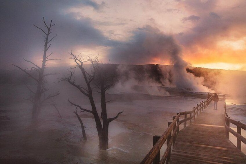 Private Full-Day Yellowstone National Park Tour 1