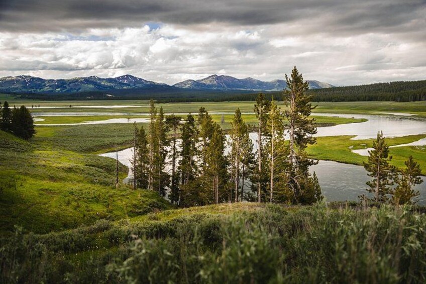 Private Full-Day Yellowstone National Park Tour 2