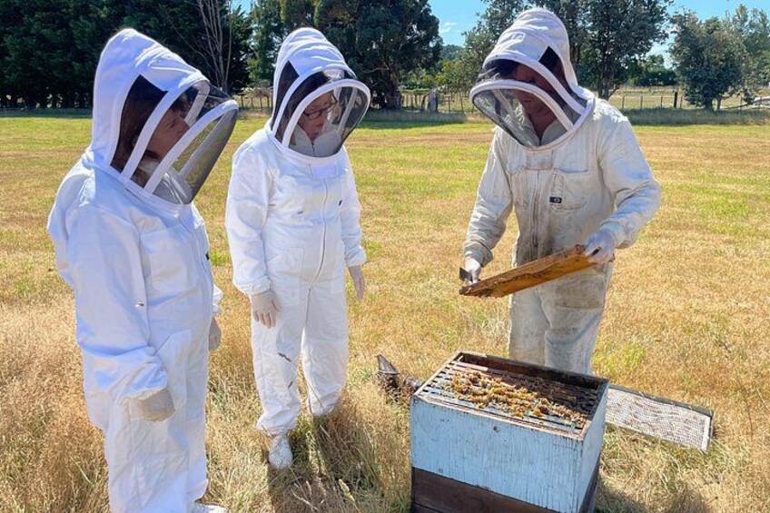Tres personas con trajes y capuchas blancas inspeccionan un panal en un campo abierto. 1
