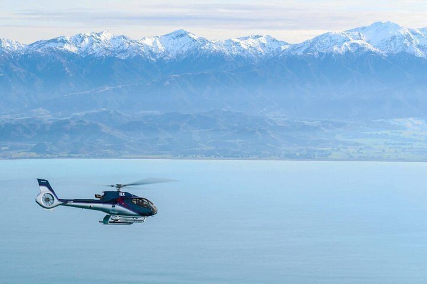 Kaikoura Helicopters Whale watching by Helicopter, New Zealand. 5