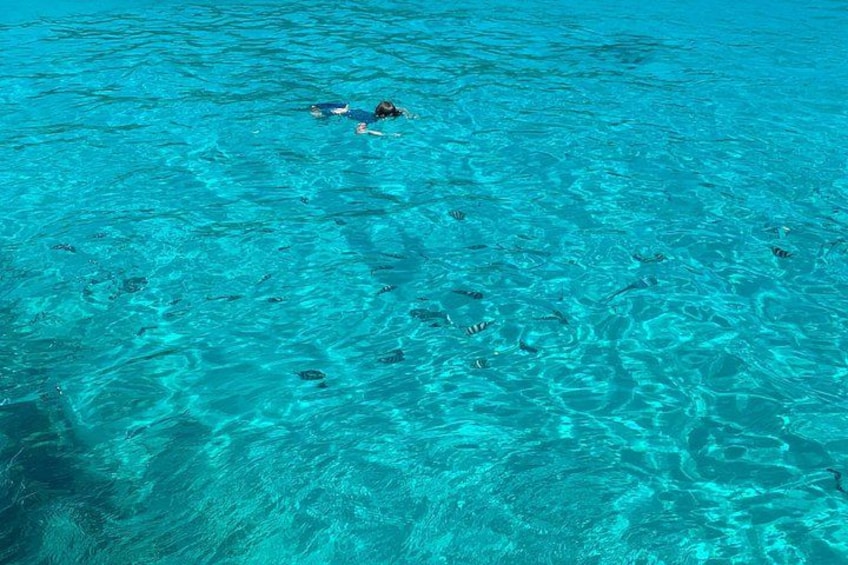 Clear turquoise water, a person swimming, and small fish. 4