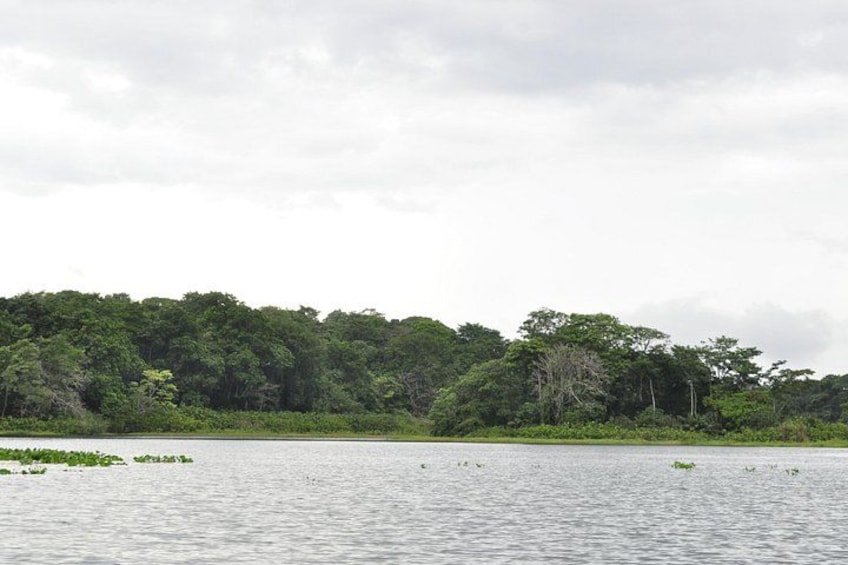 Panama City, Lake Gatun Adventure : Monkey Island 4