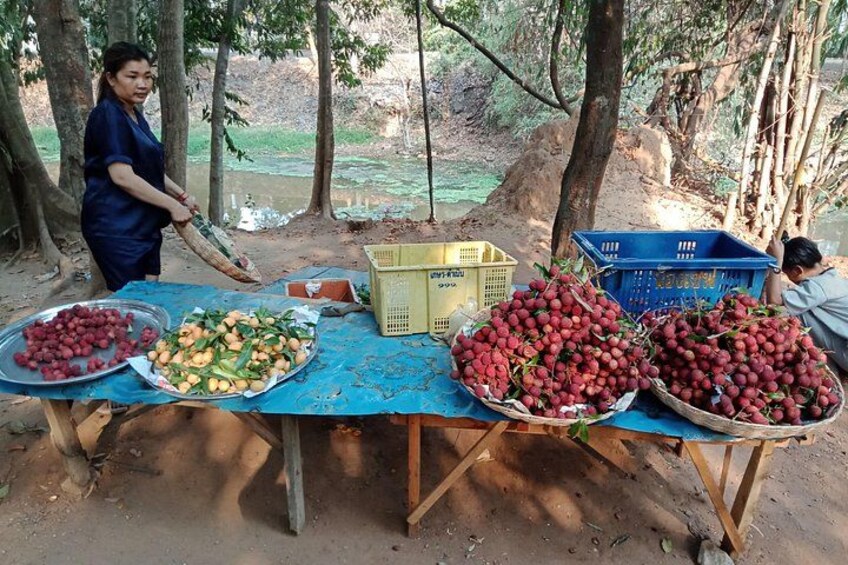 A person sorting fruit under a tree, with baskets of red and yellow fruits on a table. 2