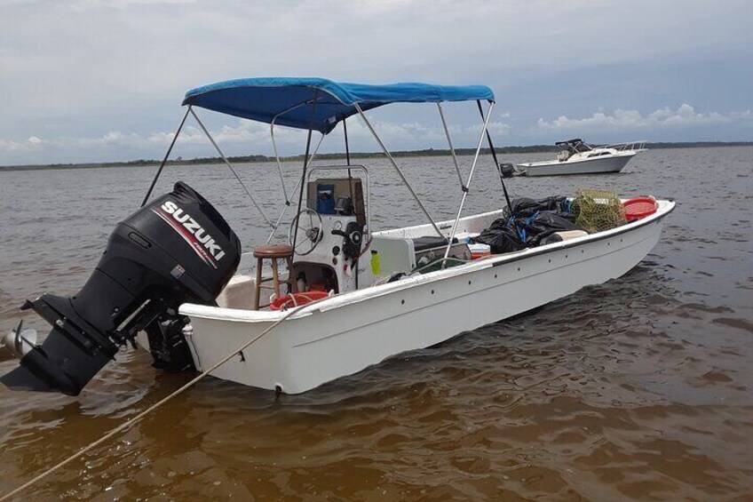 Private Sightseeing Boat Tour in Savannah