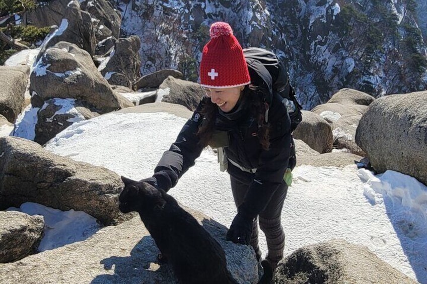 Hiking Adventure Bukhansan Highest Peak & Old Buddhist temples visit (Lunch inc)