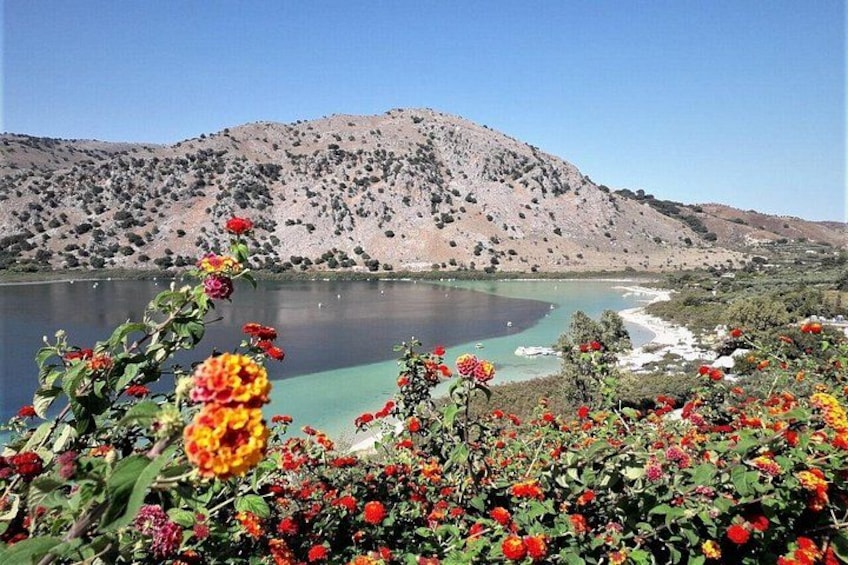 A lake with mountains in the background and colorful flowers in the foreground. 1
