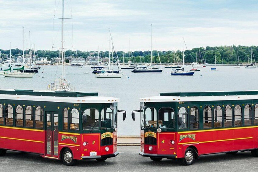 Dos autobuses rojos y verdes estacionados en un puerto deportivo con veleros al fondo. 4
