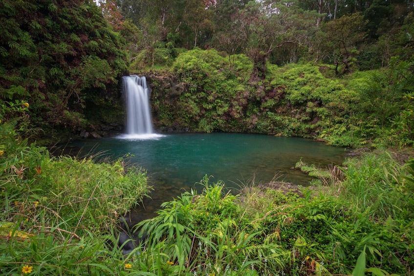 A waterfall in a lush forest. 3