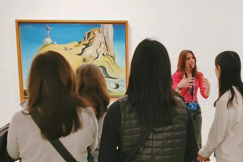 Private Tour to the Prado and Reina Sofía Museum 1