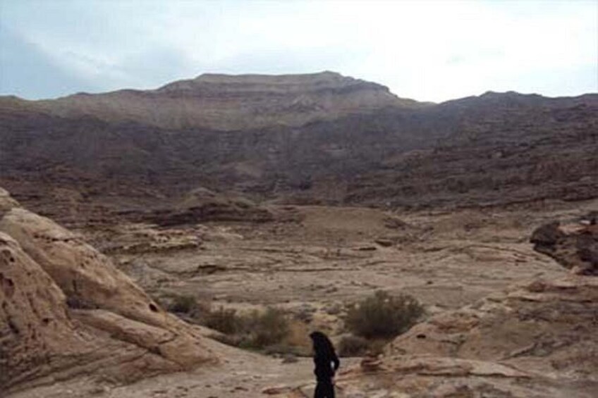 Wadi Mujib Ibex Trail Hiking Experience with Amman Tour & Panorama Dead Sea 5