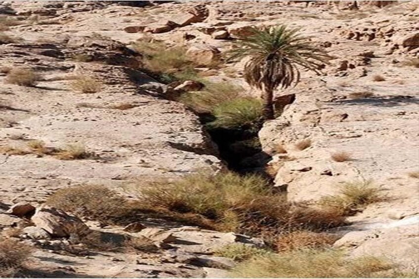 Wadi Mujib Ibex Trail Hiking Experience with Amman Tour & Panorama Dead Sea 3